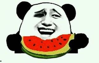 吃瓜群众代表视频,视频中的真实生活与网络现象