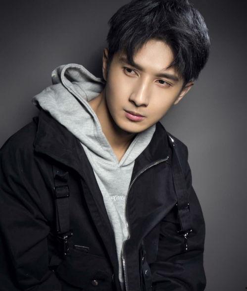 台男明星,魅力四溢的璀璨星途