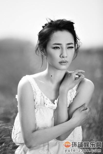 明星改名字,探寻名字背后的意义与转变