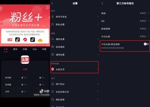 怎么同步抖音西瓜头条,轻松实现内容多平台传播