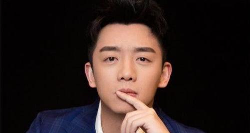 明星不好,明星光环下的争议与反思