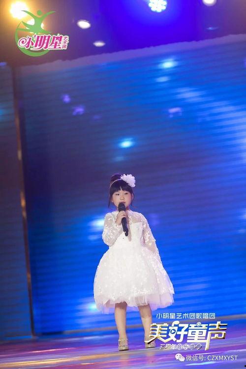 小歌唱明星,小歌唱明星的璀璨之路