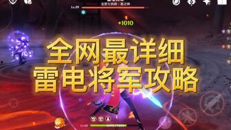 粉丝爆料雷电将军视频大全,粉丝爆料视频大全精彩回顾