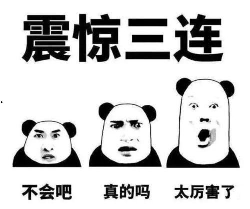 请你吃瓜搞笑解说图片,带你领略视觉盛宴