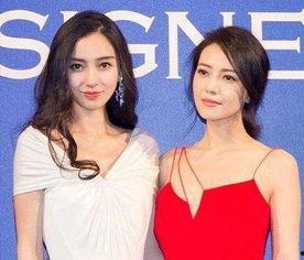 明星用花,揭秘明星们钟爱的花束寓意