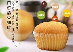 滨州网红款蛋糕儿童款,甜蜜滋味，萌趣来袭！