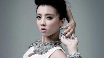 明星评价蔡依林,华语乐坛的璀璨明珠，实力与美貌并存的歌手