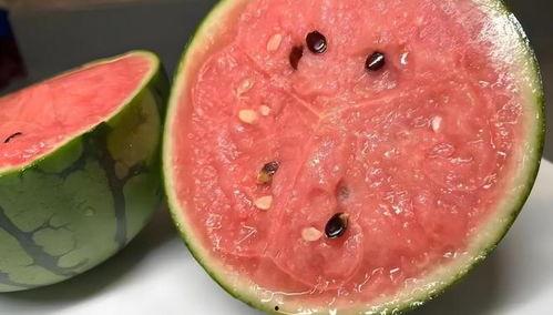 吃瓜故事号,吃瓜故事号带你领略明星幕后真相