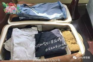 揭秘明星行李箱,揭秘明星出行必备私物与时尚品味