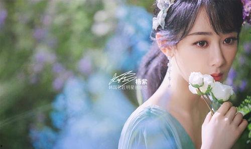 韩国艺匠明星代言,演绎时尚潮流新篇章