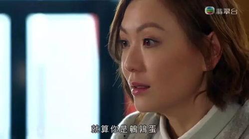 香港明星什么茹,什么茹的璀璨人生