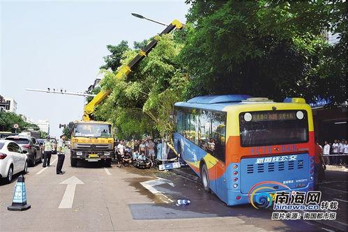 海南琼海公交车新闻头条,优化线路提升服务，琼海公交再升级