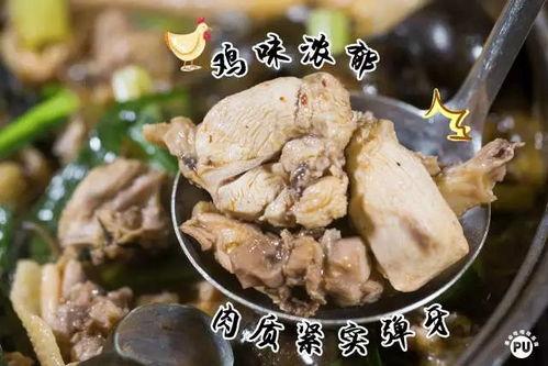 鸡鸭鹅吃瓜吗,它们真的会吃瓜吗？