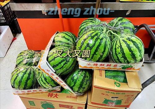 郑州酒店吃瓜,揭秘幕后真相与网络热议