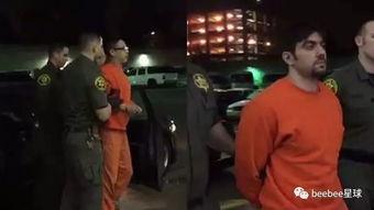 网红监狱犯,揭秘网络红人背后的监狱生活