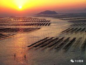 今日头条霞浦沙江