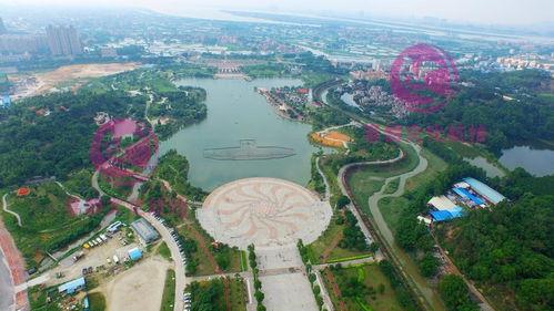 今日头条江门鹤山公园