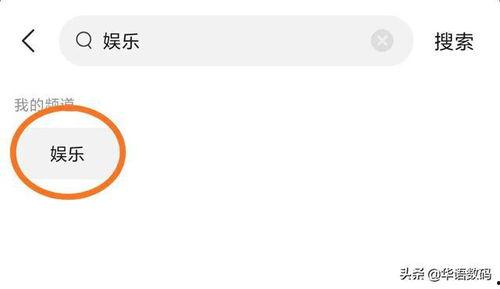 头条数码领域培训班,解锁科技前沿，成就数码达人