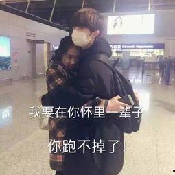 别吃瓜姐姐表情包,揭秘网络红人的魅力与影响力