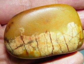 马料怎么看真假鉴别方法